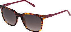 Sting Player 2 Γυαλιά Ηλίου Καφέ με Κοκκάλινο Σκελετό