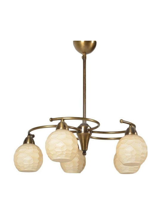 Homeplus Pendant Chandelier Brown 07.04.0300