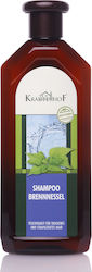 Krauterhof Brennnessel Shampoos Reconstruction/Nourishment for Dry Hair 500ml