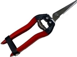 Pruning Shears 6016