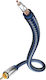 Inakustik Cable RCA male - RCA male 2m 00408021