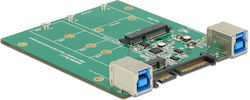 DeLock Converter SATA/USB 3.1 Type-B female to M.2/mSATA