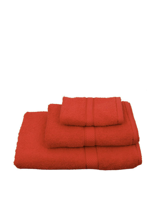 Viopros Geschirrtuch Classic 619734 50x100cm Red Gewicht 480gr/m²