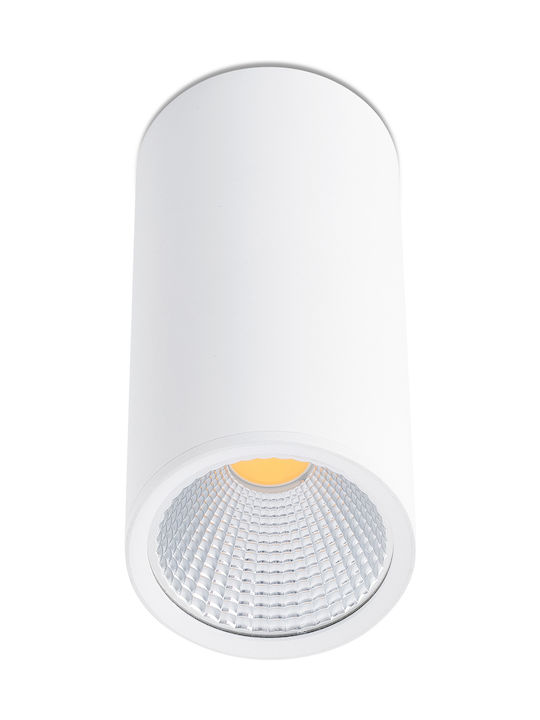 Faro Barcelona Rel-P Single Spot with Socket GU...