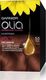 Garnier Olia Set Hair Dye no Ammonia 5.5 Akasou...