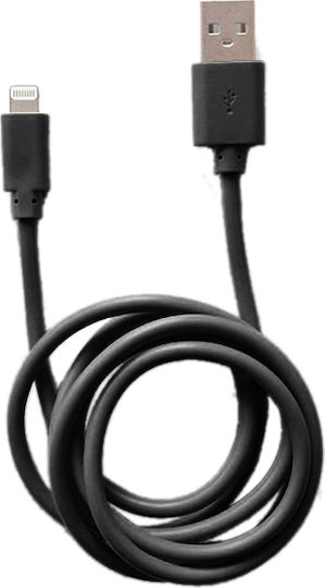 Ezi USB-A zu Lightning Kabel Schwarz 1m (795061)