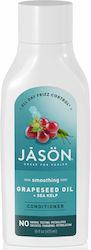 Jason Smoothing Sea Kelp Tames and Smoothes Frizzy Hair 473ml Jason Smoothing Sea Kelp Tames and Smoothes Frizzy Hair 473ml