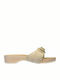 Scholl Pescura Leather Women's Flat Sandals Anatomic In Beige Colour F238681056