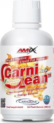 Amix CarniLean Mit Carnitin Und Geschmack Orange 480ml