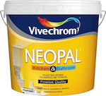 Vivechrom Neopal Kitchen & Bathroom Plastic Anti-Mildew Ecological Paint for Interior Use White 750ml