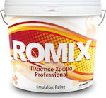 Durostick Romix Professional Plastic Paint for Interior Use White 3lt