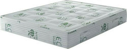 Chic Strom Bio Chic Plus