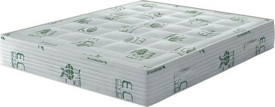 Chic Strom Bio Chic Plus Doppel Orthopädisch Matratze Schaum / Latex 140x200x21cm mit Kokosfaser