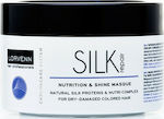 Lorvenn Μάσκα Μαλλιών Silk Repair Nutrition & Shine για Επανόρθωση 500ml