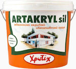 CHrotech Artakryl Silicone Plastic Acrilyc Paint for Exterior Use White 3lt