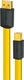 Wireworld 0.3m USB 2.0 Cable A-Male to B-Male Gold