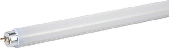 Eurolamp Fluorescent Lamp for Socket G13 with Shape T8 58W