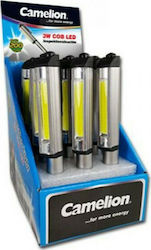 Camelion T11-3R03PD12 Workshop Battery LED Flashlight