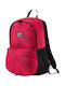 PUMA Academy Fuchsia