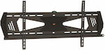 StarTech FPWFXBAT S55058174 Wall TV Mount up to 70" and 40kg