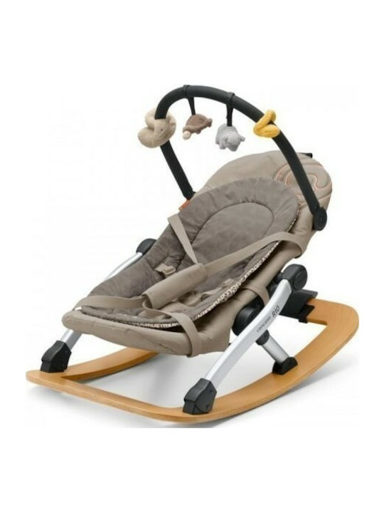 Concord baby new arrivals