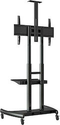 NB AV AVA1500-60-1P Boden TV-Halterung bis 65 Zoll