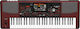 Korg Aranjor PA-1000 Professional Arranger cu 61 Dinamic Taste Roșu