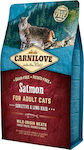 Carnilove Into The Wild Salmon Trockenfutter für erwachsene Katzen mit Lachs 6kg