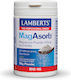 Lamberts MagAsorb 375mg Κατάλληλο για Παιδιά 165gr