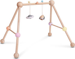 Plan Toys Wooden Baby Playmat