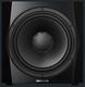 Dynaudio 9S Active Subwoofer with Speaker 9.5" 300W Black