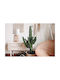 Fan Europe Wood Table Lamp for Socket E14 with White Shade and Beige Base