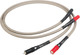 Chord Epic Cable RCA male - RCA male 1m