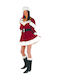 Adult Christmas Santa Claus Costume Red