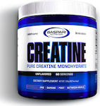 Gaspari Nutrition Qualitine Creatine Ungesüßt