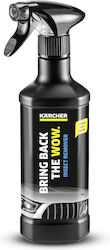 Karcher Insect Remover 3-in-1 Car Body Cleaning Liquid 500ml