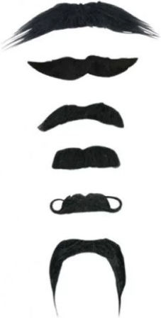 Mustach / Beard for Carnival in Black color 6pcs