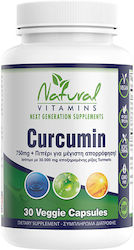Natural Vitamins Curcumin 750mg 30 capsule pe bază de plante Natural Vitamins Curcumin 750mg 30 capsule pe bază de plante