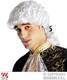 Carnival Wig Curly White