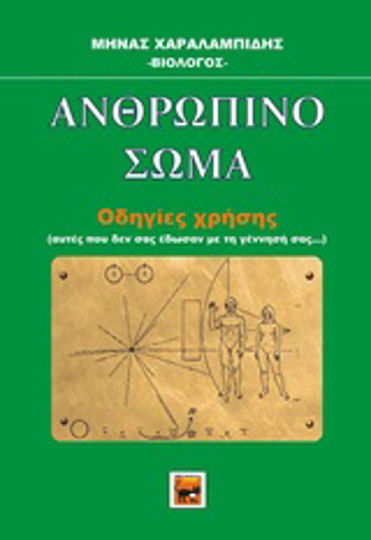Ανθρώπινο σώμα Ανθρώπινο σώμα