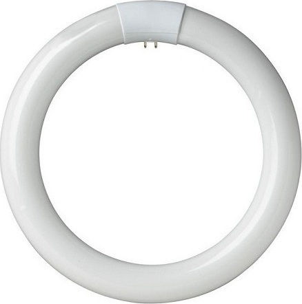 Geyer Geyer Λάμπα LED 20W Τύπου Φθορίου 300mm για Ντουί G10Q και Σχήμα T9 Ψυχρό Λευκό 1900lm