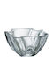 Bohemia Neptune Decorative Bowl Transparent 19x19x9.5cm