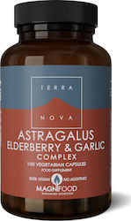 TerraNova Astragalus Holunderblüten & Knoblauch 100 Kräuterkapseln TerraNova Astragalus Holunderblüten & Knoblauch 100 Kräuterkapseln