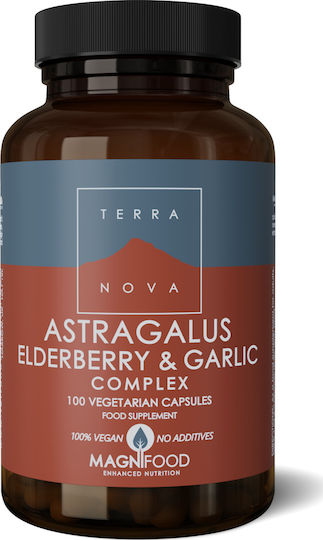 TerraNova Astragalus Elderberry & Garlic Supplement for Immune System Support 100 Vegetable Capsules