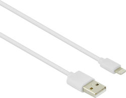 Lamtech Regular USB to Lightning Cable Λευκό 1m (LAM439881)