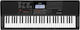 Casio Keyboard CT-X700 with 61 Dynamic Keys Black