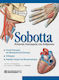 Sobotta: Άτλας ανατομικής του ανθρώπου, Anatomia generală și sistemul musculo-scheletic. Coloana vertebrală. Cap, gât și neuroanatomie