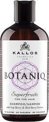 Kallos Botaniq Superfruits Shampoos für Alle Haartypen 1x300ml