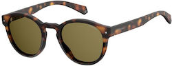 Polaroid Sunglasses Brown with Acetate Frame & Brown Lens