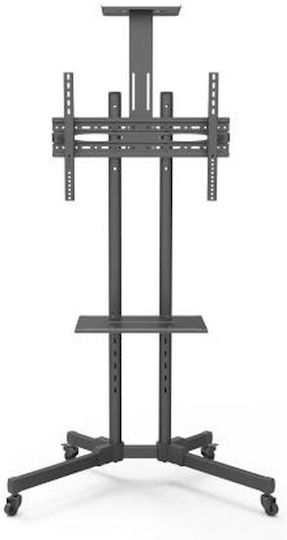 Focus Mount T014 Βάση Τηλεόρασης Δαπέδου έως 65" και 50kg